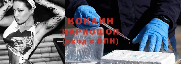 дмт Елизово