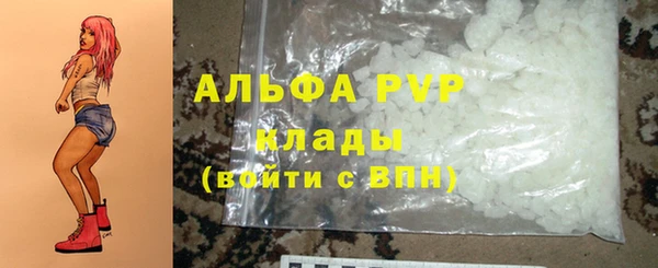 дмт Елизово