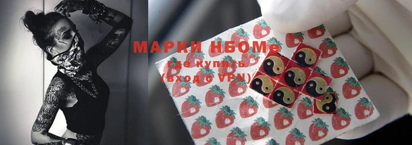 дмт Елизово