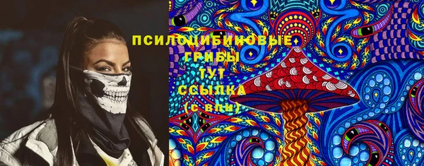 дмт Елизово